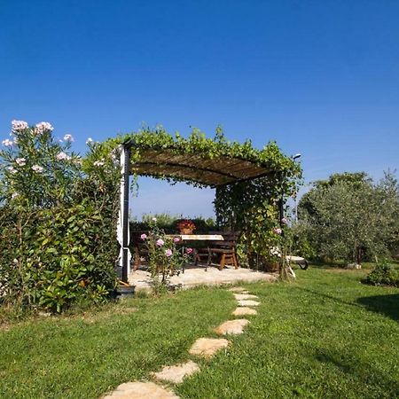 Rade Stancijeta Apartments Novigrad  Ngoại thất bức ảnh